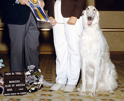 Top Obedience Borzoi 1992